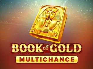 Book Of Gold Multichance